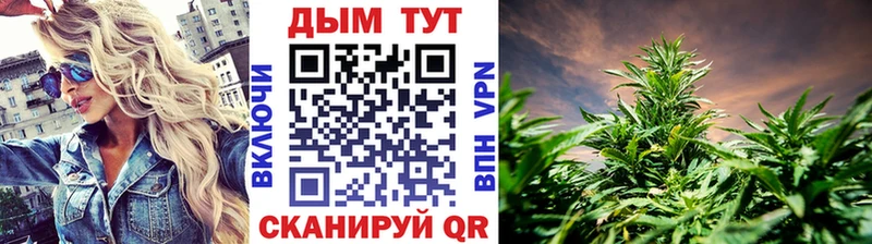 Где купить Суздаль Альфа ПВП  ГАШИШ 