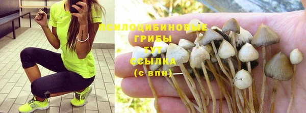 спиды Балабаново