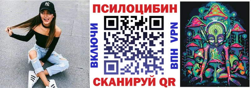 MEGA tor  закладка  Суздаль  Галлюциногенные грибы мицелий 